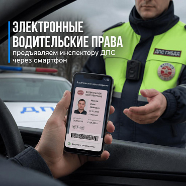 Электронные водительские права и ОСАГО с 8 сентября 2026: как предъявлять через QR-код